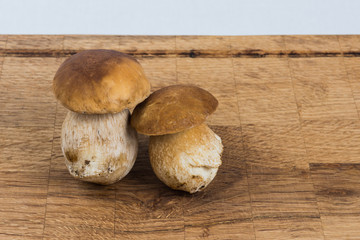 Freshly picked boletes.
