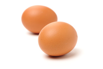 eggs on a white background 