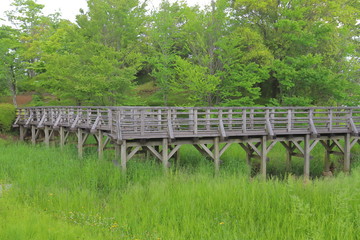 湿地帯にある桟橋