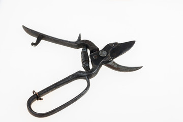 Old scissors for pruning.