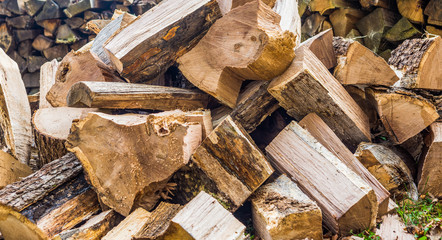 A pile of chopped firewood ready for stacking.