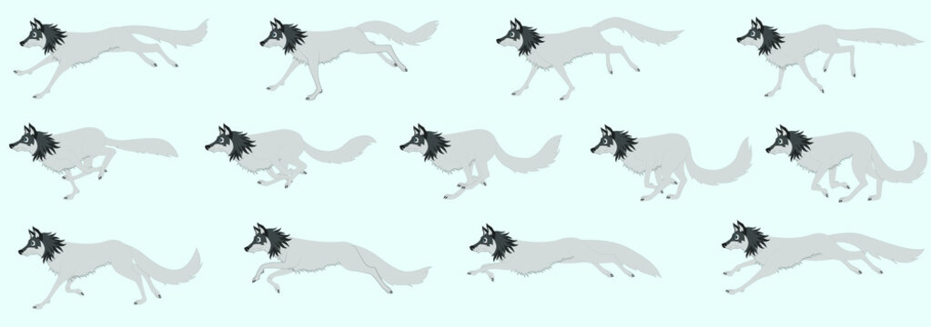Angry Wolf Runcycle Vector Illustration, editable source file, artwork For 2D Animation, Info-graphics, Motion-graphics