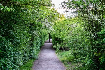 path in the park