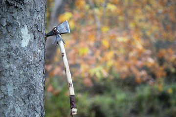 Axe in a tree on autumn leaves background.