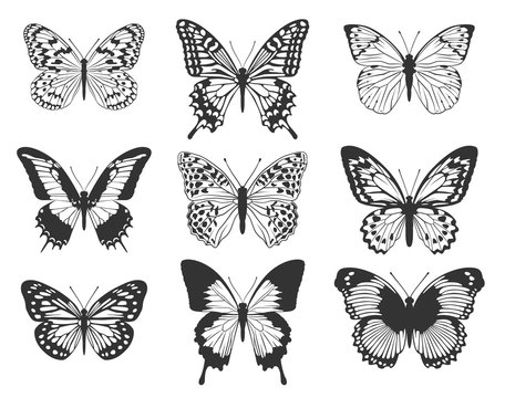 Silhouette of black butterflies. A set of butterflies.