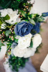 wedding rings on a white rose