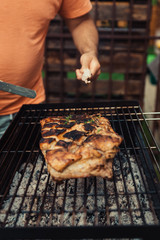 grilled meat on the grill