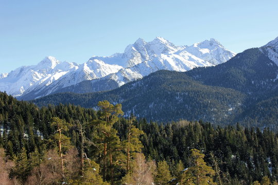 Arkhyz mountain and ski resort, winter landscape. Snow-capped mountains and coniferous forest, against a blue sky