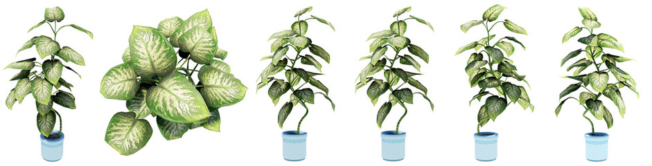 Fototapeta premium Set or collection of beautiful green interior plants isolated on white background. Concept or conceptual 3d illustration for nature and ecology, beauty and gardening, spring or summer