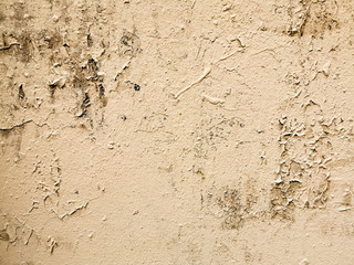 High Resolution on Cement and Concrete texture for pattern and background.