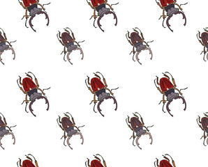 Beetle Insects Drawing Seamless Pattern Isolated Elements on White Background, Summer Wildlife Exotic Print