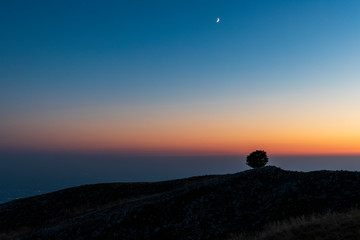 The plateau of Cansiglio in Italy