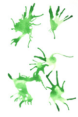 Obraz premium green water color on white background