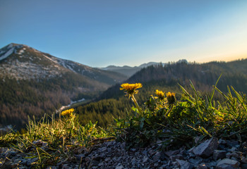 Panorama na Tatry Wysokie z Gęsiej Szyji przy zachodzącym słońcu. © slawjanek