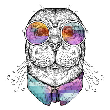 Hand drawn portrait of Funny Seal in glasses. Vector illustration isolated on white