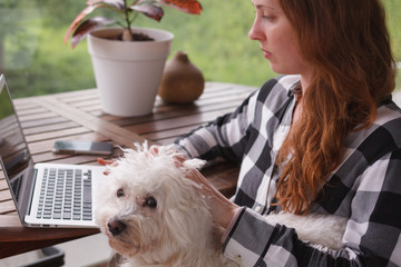 A girl with a white dog is sitting on the balcony looking at her laptop