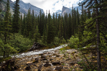 Moraine Lake nature scenery inside Banff National Park, Alberta, Canada