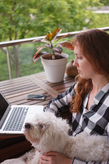 A girl with a white dog is sitting on the balcony looking at her laptop