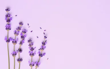  Fresh violet lavender flowers arranged on purple background. Flat lay, top view, copyspace. © craevschii