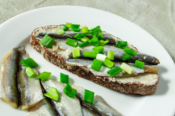 tasty sandwich with rye bread, butter, small sardines and green onions on a white plate on a concrete background
