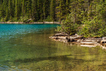 Moraine Lake nature scenery inside Banff National Park, Alberta, Canada