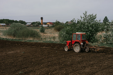 Obraz premium A red tractor plows the ground with a large plow for planting potatoes on a may day next to a blooming Apple tree | KOROVYAKOVA, SVERDLOVSKAYA OBLAST - 9 MAY 2020.