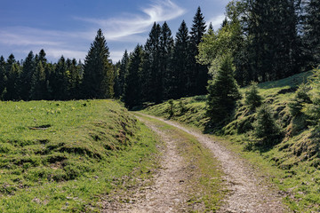 The road in the forest and meadow in the mountains on the background of the sky with clouds.