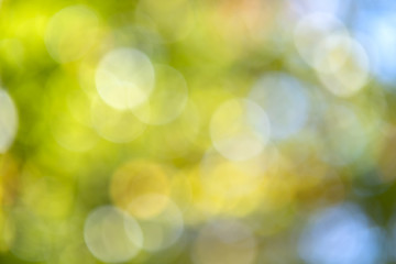 Obraz premium Bright colorful green and yellow background. Blurred light bokeh circles in autumn forest.