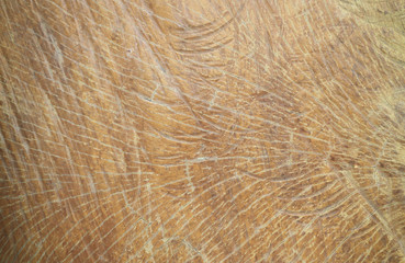 wood texture with natural pattern for background.