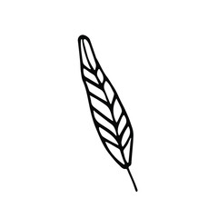 Fototapeta premium handwritten vector of a feather on a white background .one simple feather black and white