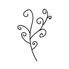 handwritten vector twig with curls on&nbsp;white background. grass and branches black and white, logo, logo, emblem.