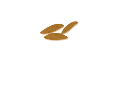 La mandorla &egrave; un frutto molto usato in cucina ed in pasticceria qui il logo per un sacchetto o busta