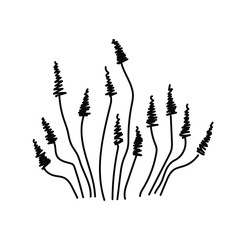 bush isolated. grass. handwritten vector stylized bush with a white background.grass. doodle grass. stylized grass. grass ink. herb logo. Doodle vector  grass, herb