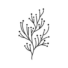 handwritten vector twig with small dots instead of leaves on a white background.grass and branches black and white, logo, logo, emblem.