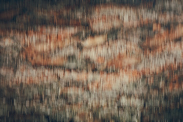 Blurred abstract background. Vertical blur in motion. Background of natural tree bark. Warm orange brown tones.