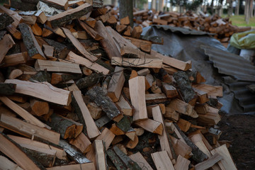 Trees in the sawmill are stacked in bags for sell. Stacks of firewood. Preparation of firewood for the winter. A heap of woodpile. Chopped wood. Firewood.Pile of wood logs ready for winter
