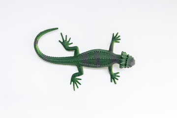 green toy lizard on a white background