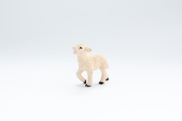 toy lamb on a white background