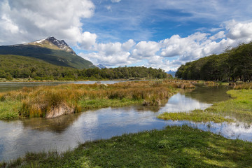 Naklejka na ściany i meble Beautiful scenic view on Lapataia river in Tierra del Fuego national park near Ushuaia, Argentina. Background landscape on sunny summer day with deep blue sky and clouds