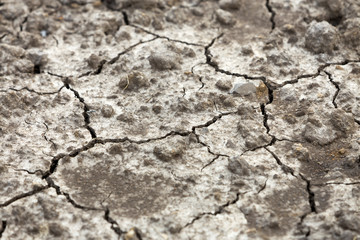 Cracked dry dirt flat surface, abstract texture, copy space background, retro pattern.
