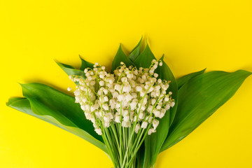 Lily of the Valley (Convallaria Majalis) isolated on yellow background
