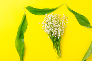 Lily of the Valley (Convallaria Majalis) isolated on yellow background