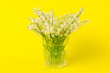 Lily of the Valley (Convallaria Majalis) isolated on yellow background