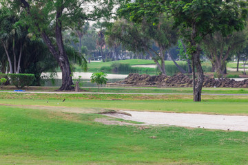 sand mound in golf course with lush grass, are perfect for doing sports during the day