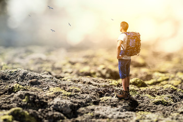 Young traveler exploring the world concept