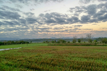 Obraz premium Farmland at countryside on the morning or sunrise time with cloudscape.
