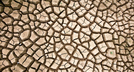 Texture pattern of crack of soil effect from Drought