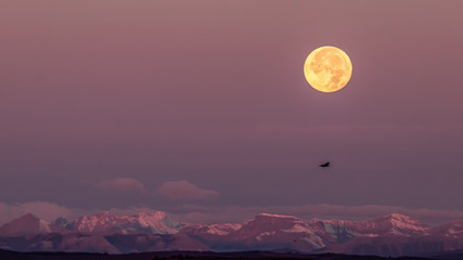 Moon rise with raven