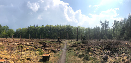 Fototapete bei efototapeten.de bestellen   