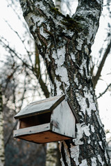 Birdhouse on a tree